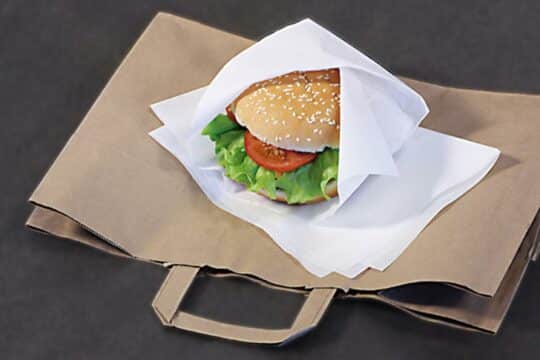 Umweltfreundliche Fast-Food-Verpackungen